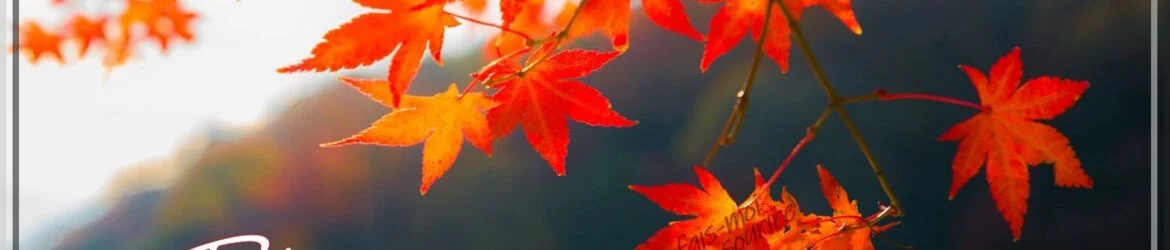 septembre_018